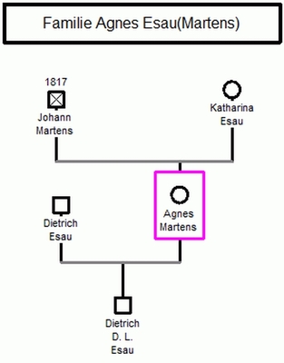  У семьи не было своих детей-Дитрих был приемным сыном.
